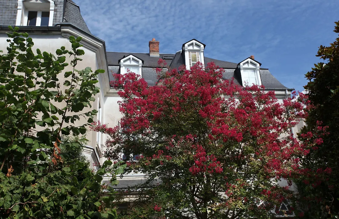 La Maison Jules-1